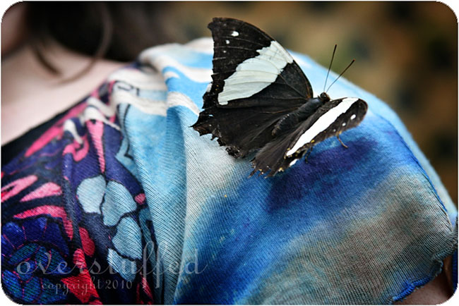 Butterfly House on Mackinac Island