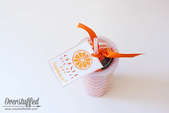 Looking for a cute end of year teacher gift, or just something fun to give your friends to celebrate the beginning of summer? Try this adorable tumbler filled with fun orange things and a fun Orange You Glad It's Summer? printable