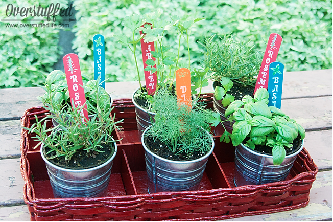 Patio Herb Garden