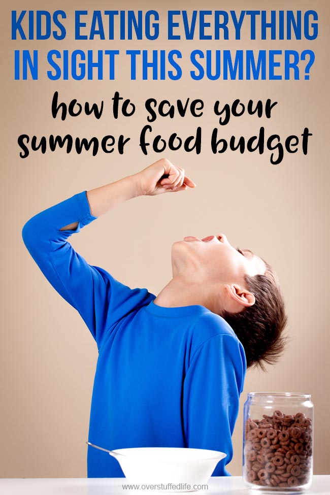 Do your kids eat everything in the house on long summer days? Here is one solution to both help them monitor how much they are eating on their own AND save you from running to the grocery store every two days!