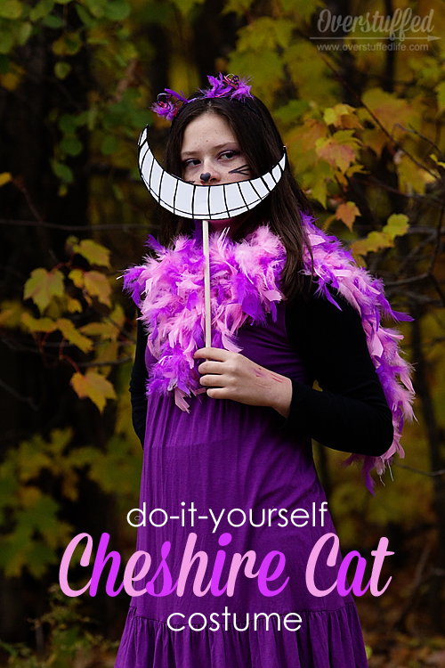 Diy Cheshire Cat Costume Overstuffed Life - Cheshire Cat Kid Costume Diy