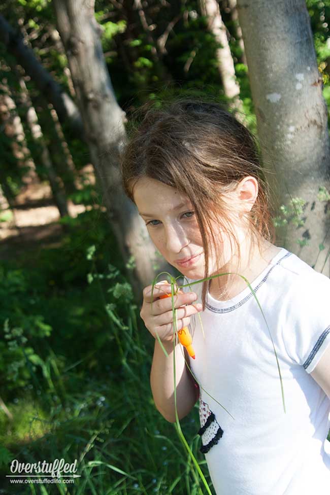 A nature scavenger hunt is a great way to get kids excited about leaving their screens and getting outside. Simply print out the list, grab a camera, and go find some fun things in nature!