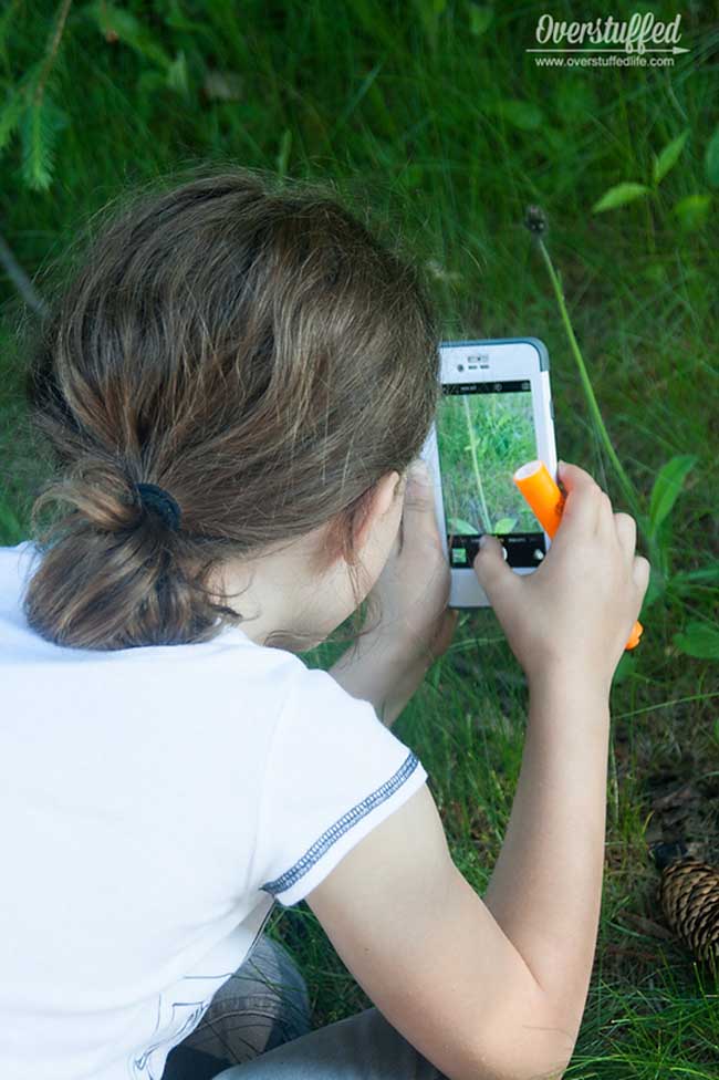 A nature scavenger hunt is a great way to get kids excited about leaving their screens and getting outside. Simply print out the list, grab a camera, and go find some fun things in nature!