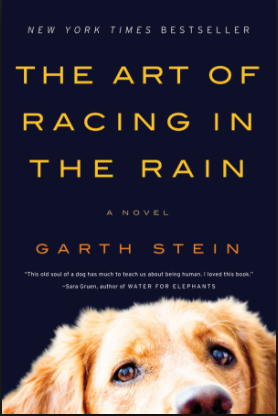 book review—The Art of Racing in the Rain by Garth Stein