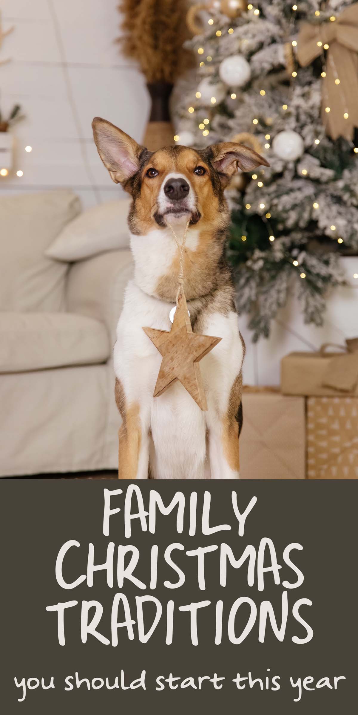 Family Christmas Traditions You Can Start This Year - Studio DIY