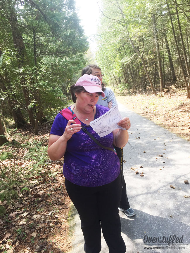 Mackinac Island has over 140 miles of trails in the state park and on roads. There are so many beautiful things to see and learn on these trails and they are completely free to hike!